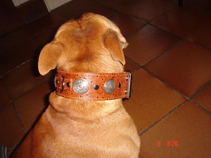 Collier cuir