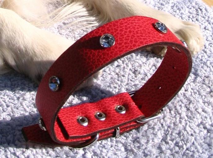 Collier pour King Charles