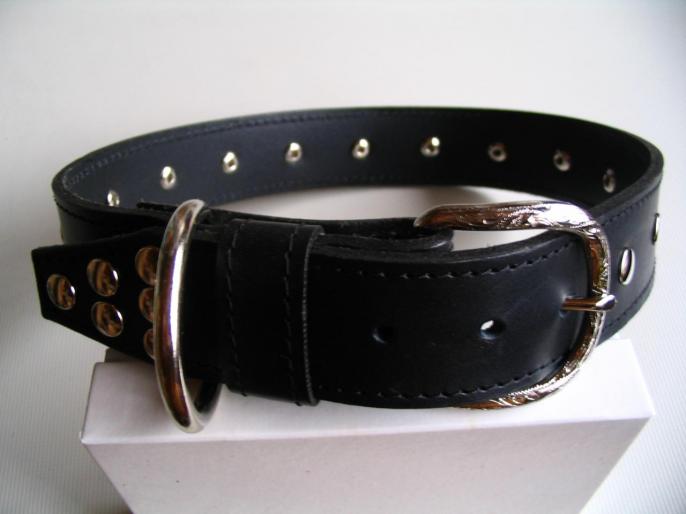 Collier cuir noir pour Berger Allemand